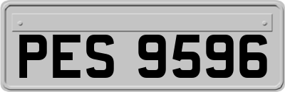 PES9596