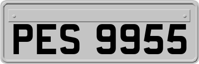 PES9955