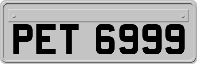 PET6999