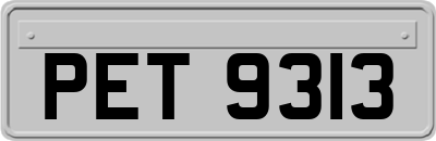 PET9313