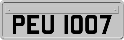 PEU1007