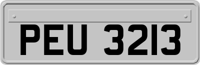 PEU3213