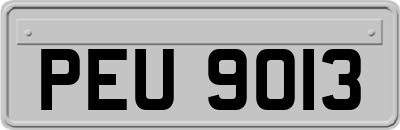 PEU9013