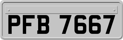 PFB7667