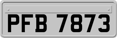 PFB7873