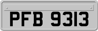 PFB9313