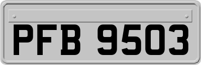 PFB9503