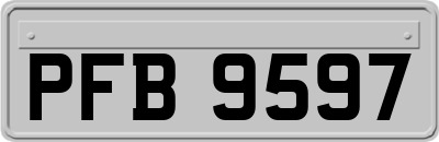 PFB9597