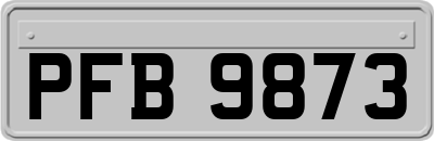 PFB9873