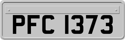 PFC1373