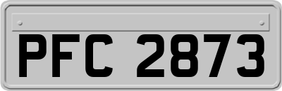 PFC2873