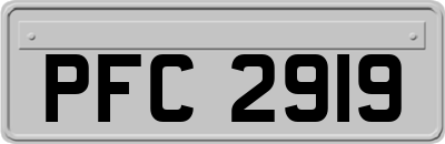 PFC2919