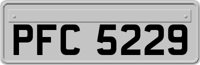 PFC5229