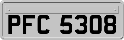 PFC5308