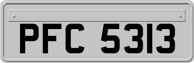 PFC5313