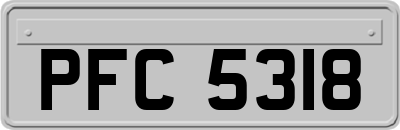 PFC5318