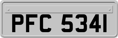 PFC5341