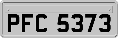 PFC5373