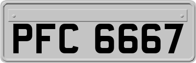 PFC6667