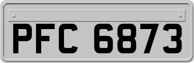 PFC6873