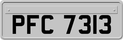 PFC7313
