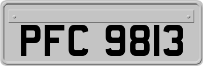 PFC9813