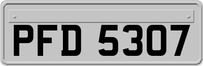 PFD5307