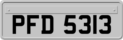 PFD5313