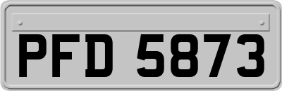 PFD5873