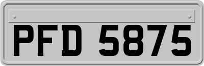 PFD5875