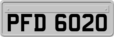 PFD6020