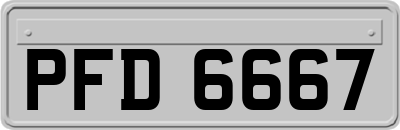 PFD6667