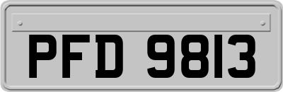 PFD9813