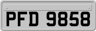 PFD9858
