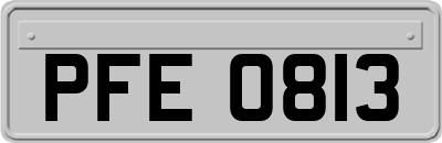PFE0813