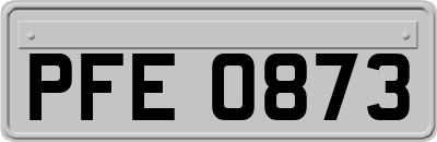 PFE0873
