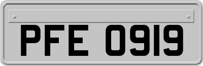PFE0919