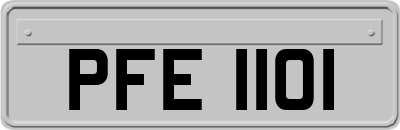 PFE1101