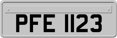 PFE1123
