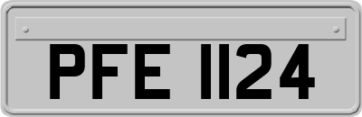PFE1124