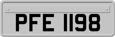 PFE1198