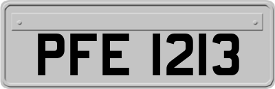 PFE1213