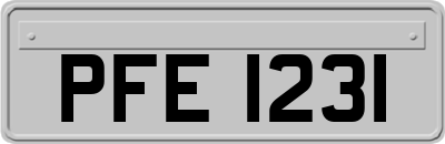 PFE1231