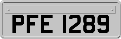 PFE1289