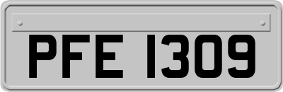 PFE1309