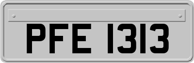 PFE1313