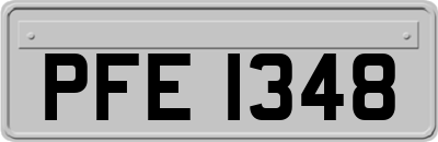 PFE1348