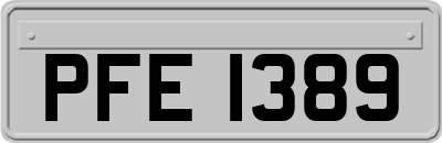 PFE1389