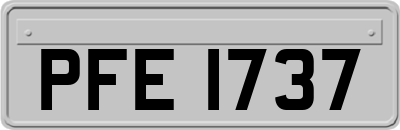 PFE1737