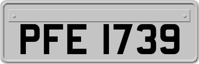 PFE1739